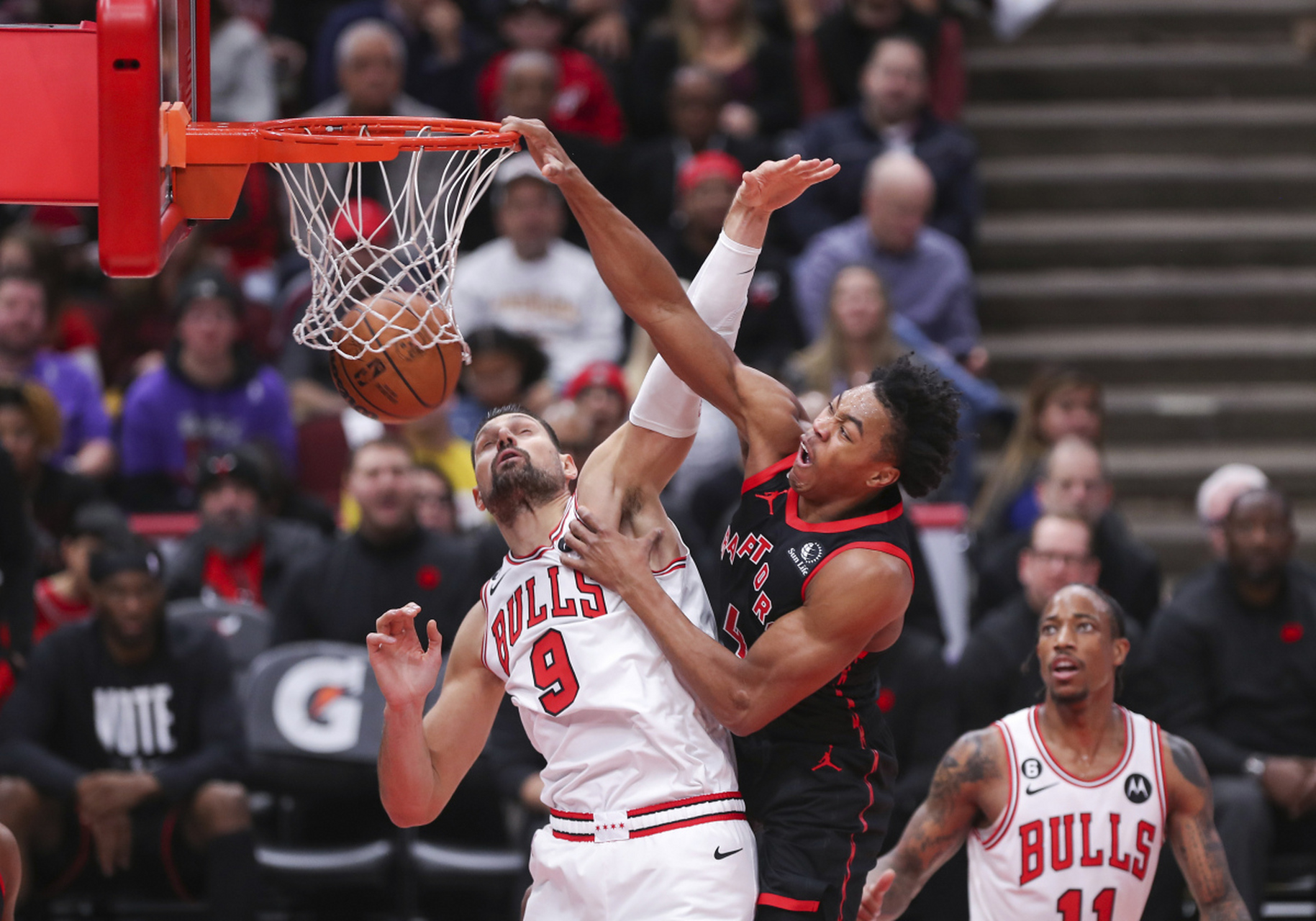 关于多伦多猛龙训练开放日；加时末段状态回暖引欢呼；NBA总决赛在即；球队文化再被提及的信息